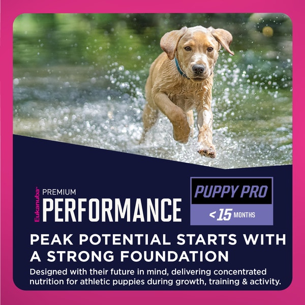 Premium Performance Puppy Pro Dry Dog Food image 4