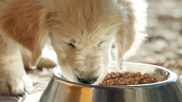 Content Block With Text And Image 6