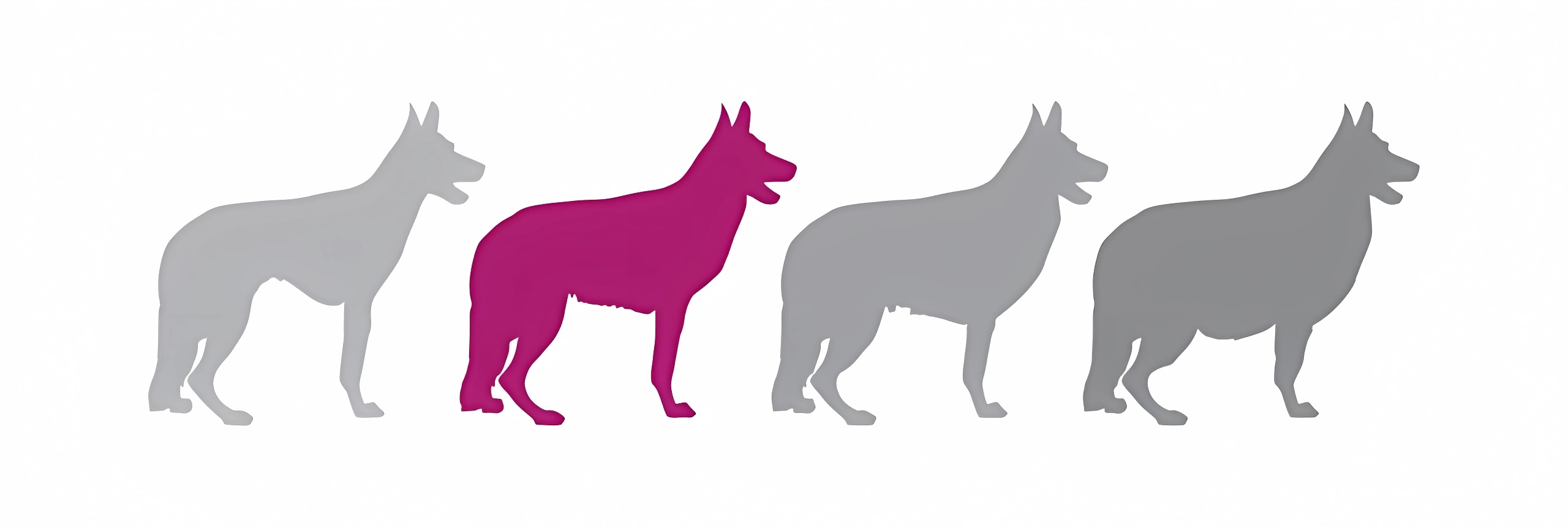 eukanuba-hub-health-and-fitness-health-article-3