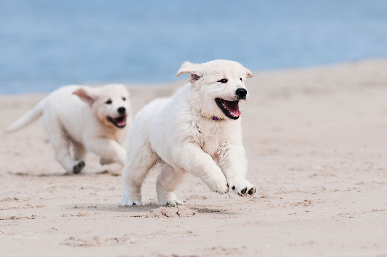 Content Block With Text And Image 5