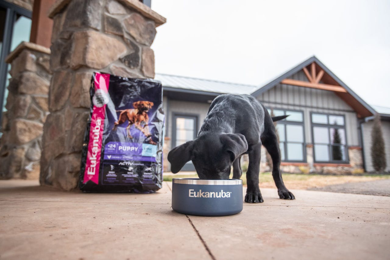 Content Block With Text And Image 5