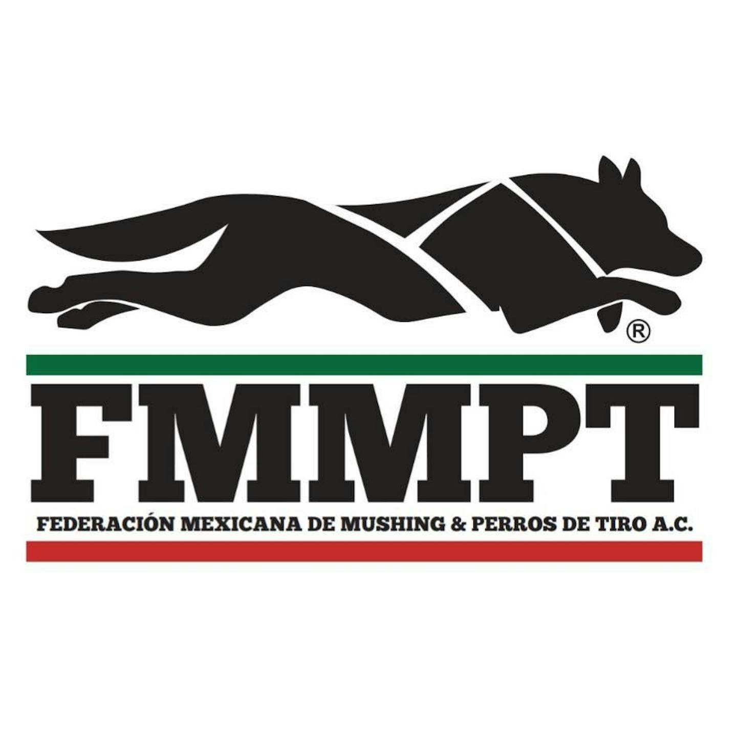 fmmpt (logo)