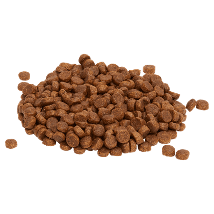 Puppy Small Breed Kibble