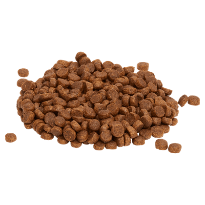 Puppy Small Breed Kibble