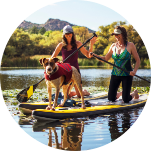 Two women paddleboarding with a tan and white dog on the front of one of the boards.