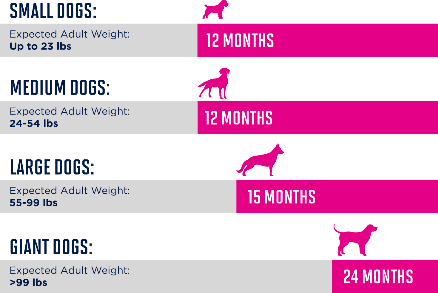 Small dogs (expected adult weight up to 23 pounds) at 12 months. Medium dogs (expected adult weight 24-54 pounds) at 12 months. Large dogs (expected adult weight 55-99 pounds) at 15 months. Giant dogs (expected adult weight greater than 99 pounds) at 24 months.