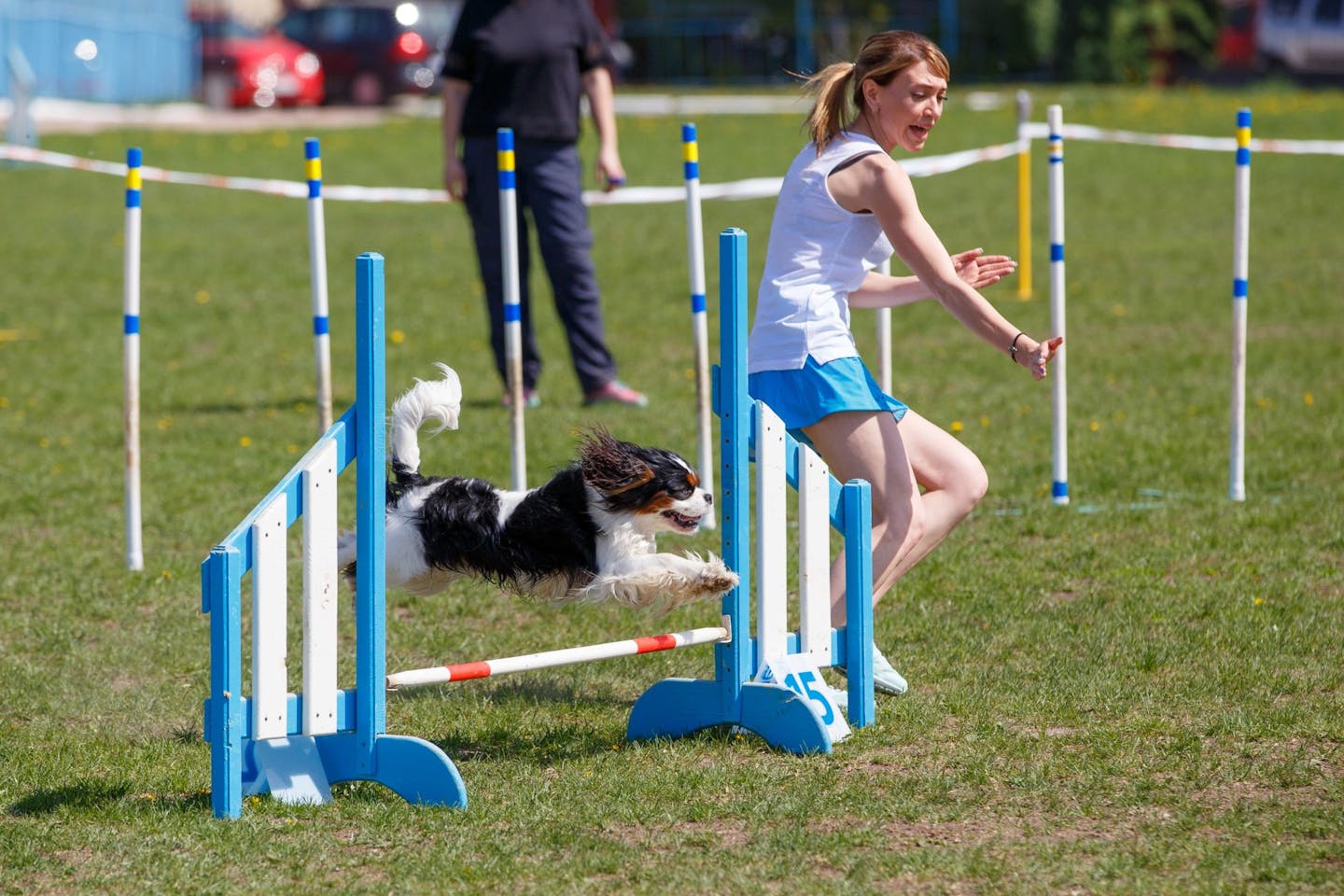 Getting Started With Agility