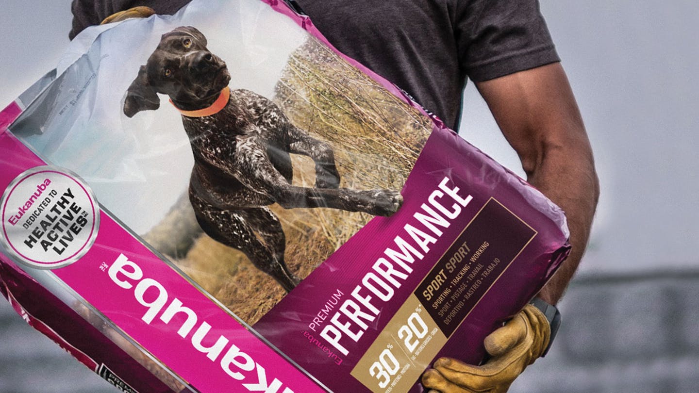 View of Deciphering Dog Food Labels