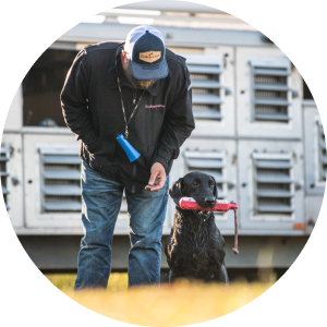 Dog with a toy in mouth standing next to human.