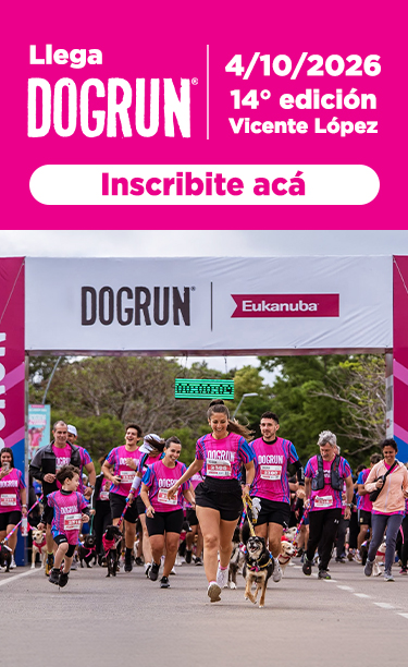 banner with campaign logo