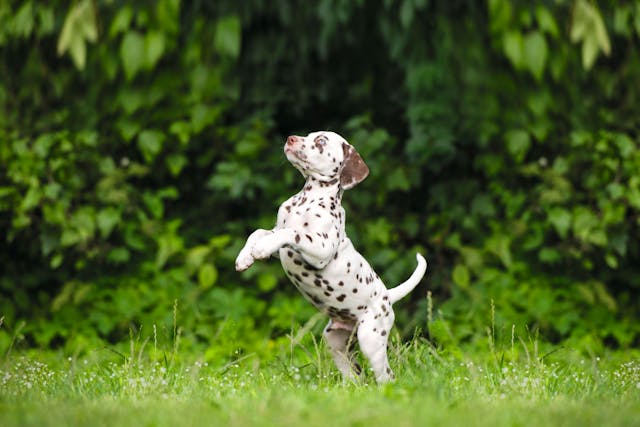 Content Block With Text And Image 3