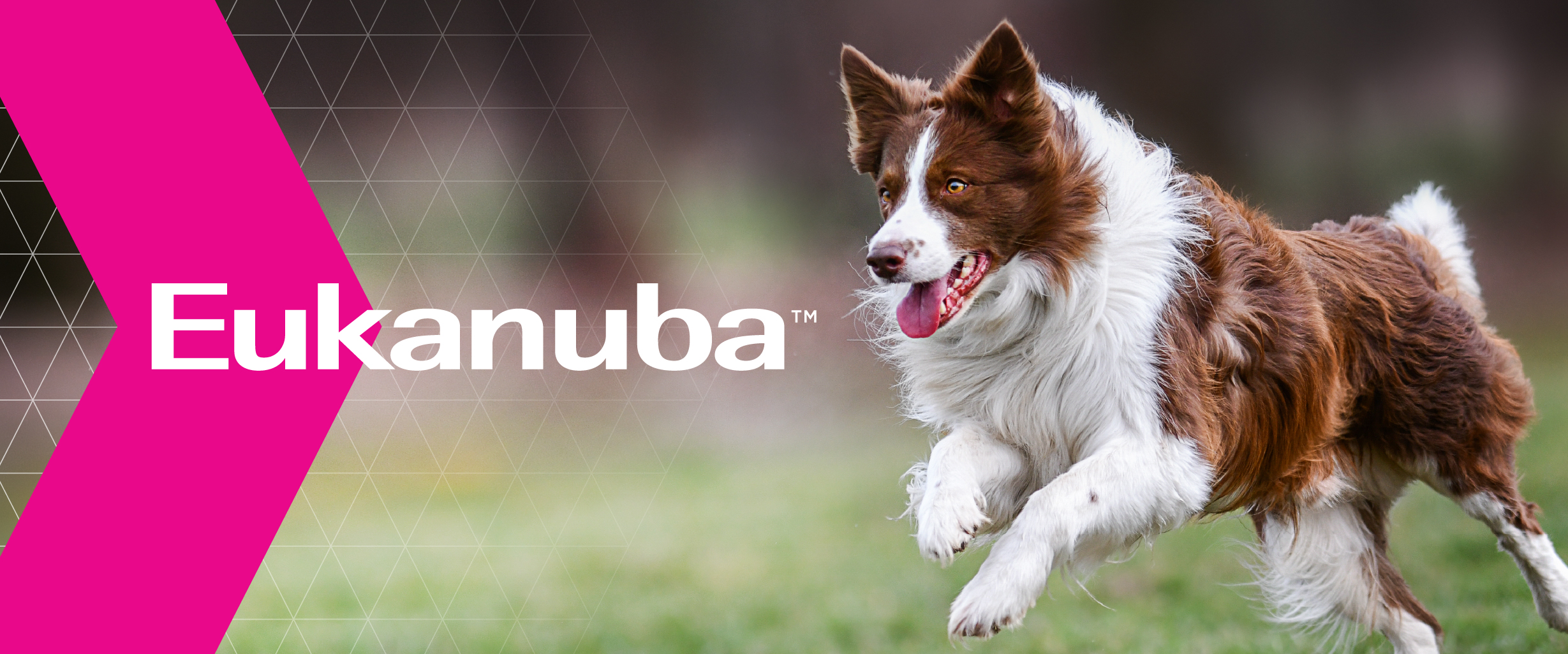 2097EUK_L&R Transition Page_v2_Tablet_1180x492px